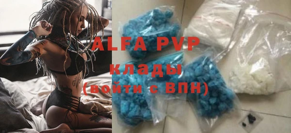 хмурый Алексин