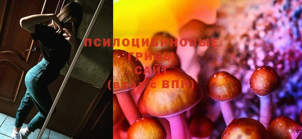spice Абаза